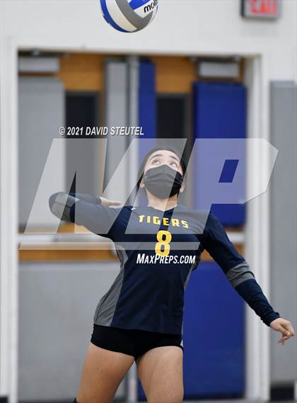 Thumbnail 1 in Antelope @ Inderkum photogallery.