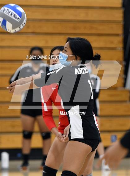 Thumbnail 2 in Antelope @ Inderkum photogallery.
