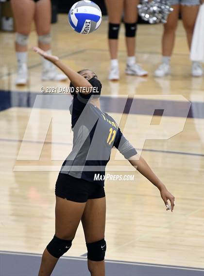 Thumbnail 3 in Antelope @ Inderkum photogallery.