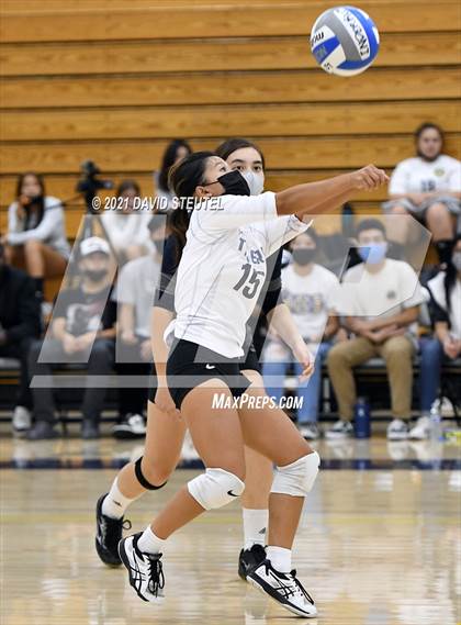 Thumbnail 1 in Antelope @ Inderkum photogallery.