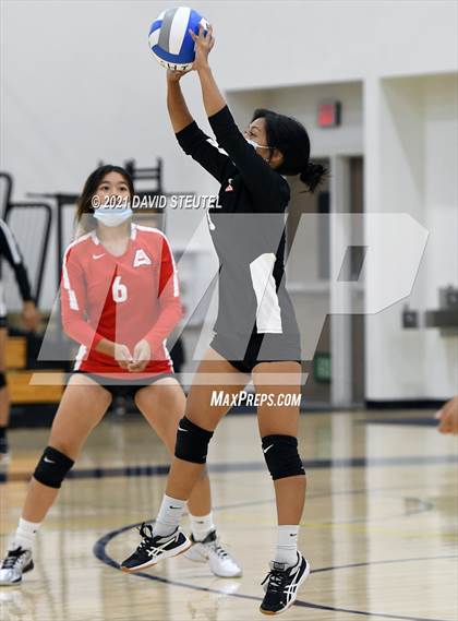Thumbnail 1 in Antelope @ Inderkum photogallery.