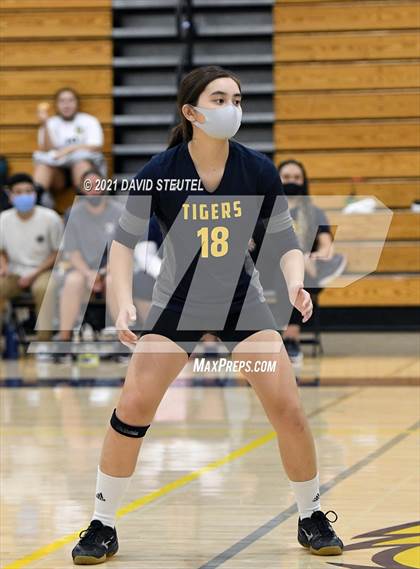 Thumbnail 2 in Antelope @ Inderkum photogallery.