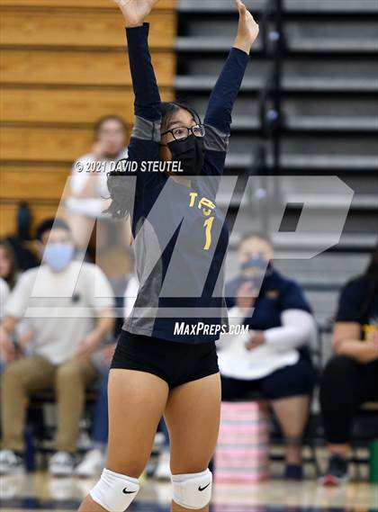 Thumbnail 3 in Antelope @ Inderkum photogallery.
