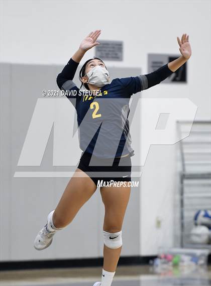Thumbnail 2 in Antelope @ Inderkum photogallery.