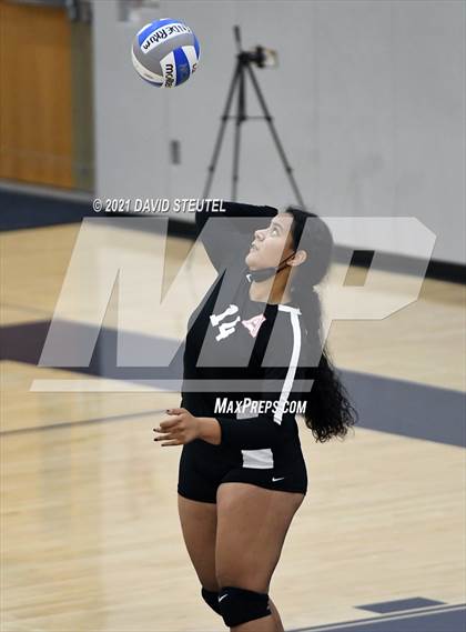 Thumbnail 1 in Antelope @ Inderkum photogallery.