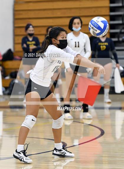 Thumbnail 3 in Antelope @ Inderkum photogallery.