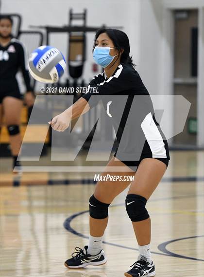 Thumbnail 1 in Antelope @ Inderkum photogallery.