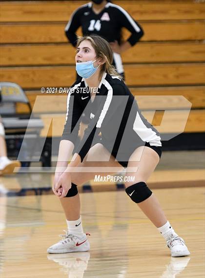 Thumbnail 3 in Antelope @ Inderkum photogallery.
