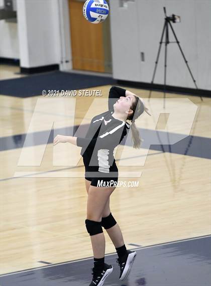 Thumbnail 1 in Antelope @ Inderkum photogallery.