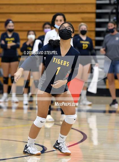 Thumbnail 1 in Antelope @ Inderkum photogallery.