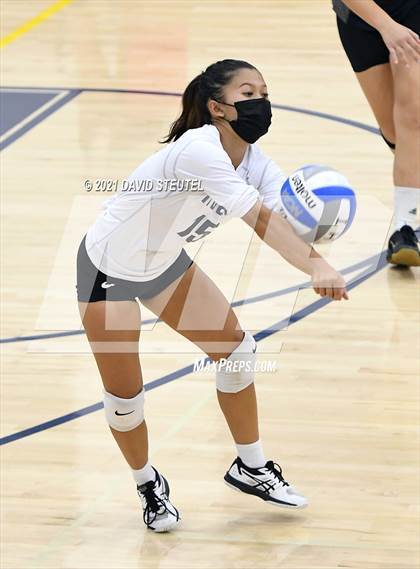 Thumbnail 2 in Antelope @ Inderkum photogallery.