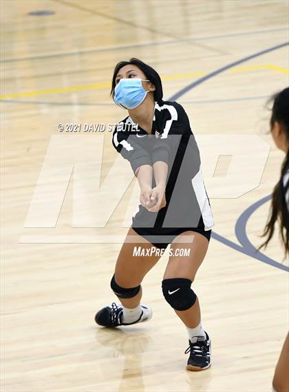 Thumbnail 3 in Antelope @ Inderkum photogallery.