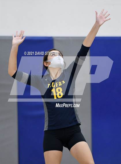 Thumbnail 1 in Antelope @ Inderkum photogallery.