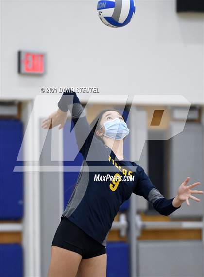 Thumbnail 1 in Antelope @ Inderkum photogallery.