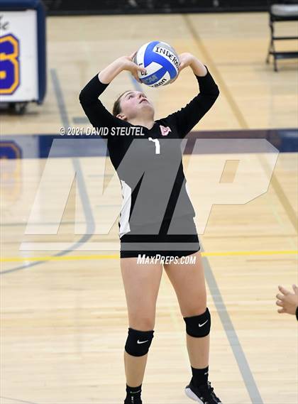 Thumbnail 3 in Antelope @ Inderkum photogallery.