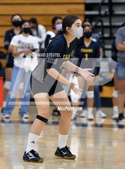 Thumbnail 2 in Antelope @ Inderkum photogallery.