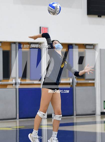 Thumbnail 3 in Antelope @ Inderkum photogallery.