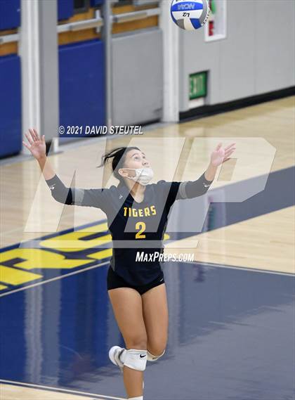 Thumbnail 2 in Antelope @ Inderkum photogallery.