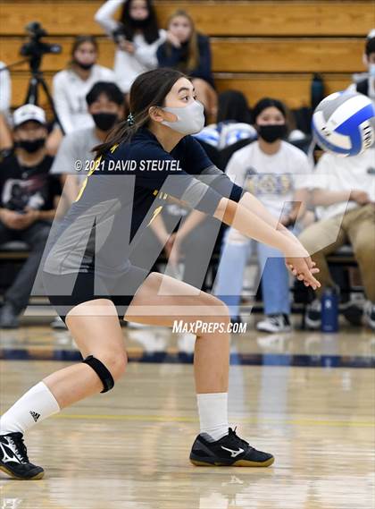Thumbnail 1 in Antelope @ Inderkum photogallery.