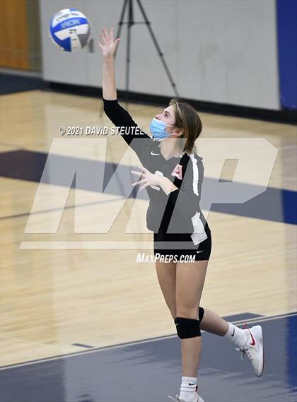Thumbnail 1 in Antelope @ Inderkum photogallery.
