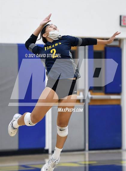 Thumbnail 1 in Antelope @ Inderkum photogallery.