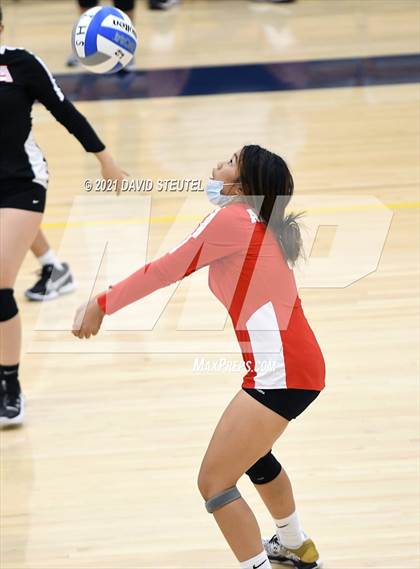 Thumbnail 1 in Antelope @ Inderkum photogallery.