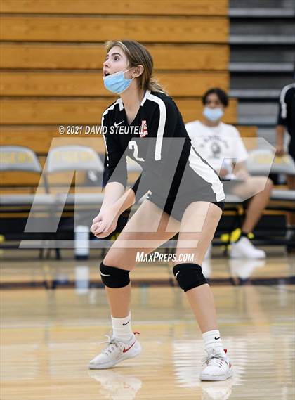 Thumbnail 1 in Antelope @ Inderkum photogallery.