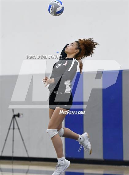 Thumbnail 2 in Antelope @ Inderkum photogallery.
