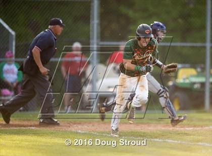 Thumbnail 3 in Champe @ Kettle Run photogallery.