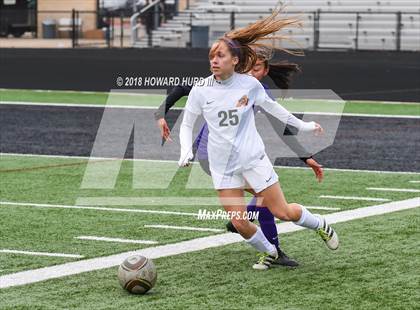 Thumbnail 1 in Paschal vs. Aledo (Moritz Kia Tournament of Champions) photogallery.
