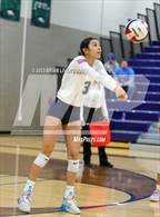 Photo from the gallery "Pine Creek vs Douglas County (CHSAA 5A Region 6 Playoff) "
