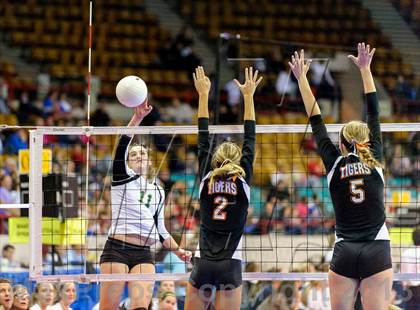 Thumbnail 2 in Manitou Springs vs. Sterling (CHSAA 3A Pool III) photogallery.