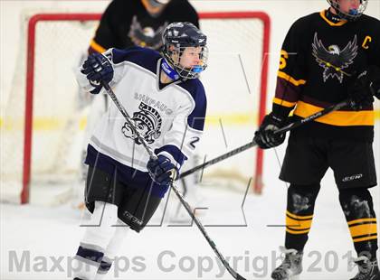 Thumbnail 1 in Fitch/East Lyme/Ledyard @ Shepaug/Litchfield/Nonnewaug photogallery.