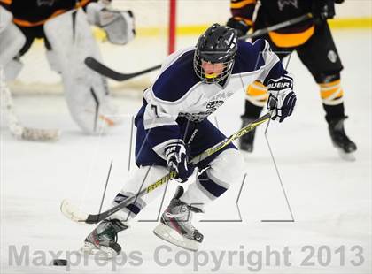 Thumbnail 2 in Fitch/East Lyme/Ledyard @ Shepaug/Litchfield/Nonnewaug photogallery.
