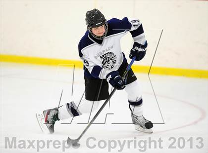 Thumbnail 3 in Fitch/East Lyme/Ledyard @ Shepaug/Litchfield/Nonnewaug photogallery.