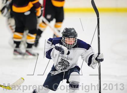 Thumbnail 1 in Fitch/East Lyme/Ledyard @ Shepaug/Litchfield/Nonnewaug photogallery.
