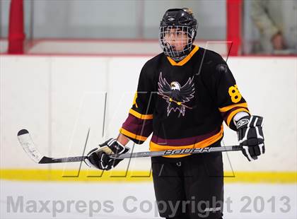 Thumbnail 3 in Fitch/East Lyme/Ledyard @ Shepaug/Litchfield/Nonnewaug photogallery.