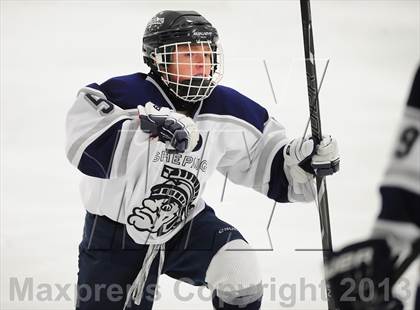 Thumbnail 1 in Fitch/East Lyme/Ledyard @ Shepaug/Litchfield/Nonnewaug photogallery.