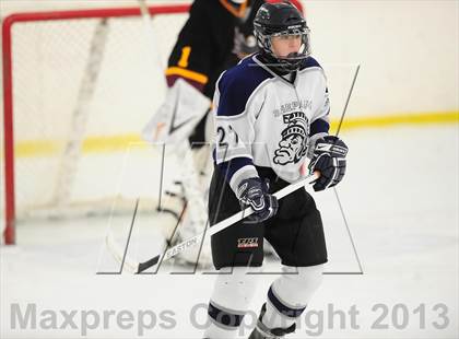 Thumbnail 1 in Fitch/East Lyme/Ledyard @ Shepaug/Litchfield/Nonnewaug photogallery.
