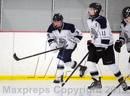 Thumbnail 1 in Fitch/East Lyme/Ledyard @ Shepaug/Litchfield/Nonnewaug photogallery.