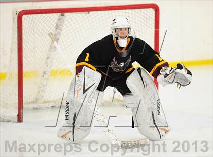 Thumbnail 1 in Fitch/East Lyme/Ledyard @ Shepaug/Litchfield/Nonnewaug photogallery.