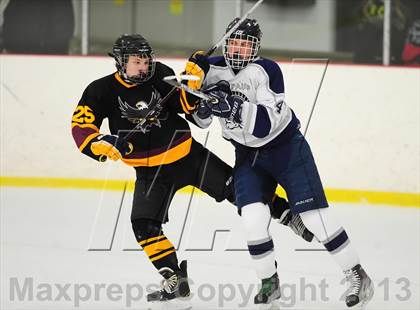 Thumbnail 1 in Fitch/East Lyme/Ledyard @ Shepaug/Litchfield/Nonnewaug photogallery.