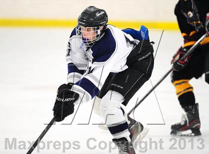 Thumbnail 3 in Fitch/East Lyme/Ledyard @ Shepaug/Litchfield/Nonnewaug photogallery.