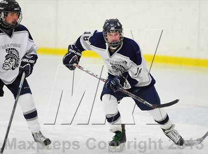 Thumbnail 2 in Fitch/East Lyme/Ledyard @ Shepaug/Litchfield/Nonnewaug photogallery.