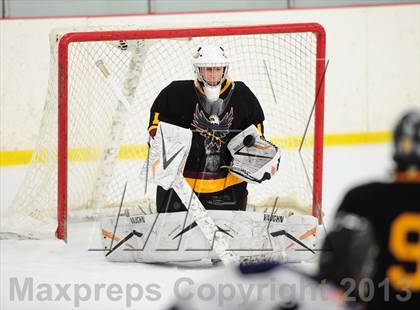 Thumbnail 1 in Fitch/East Lyme/Ledyard @ Shepaug/Litchfield/Nonnewaug photogallery.
