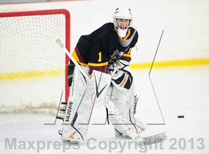 Thumbnail 1 in Fitch/East Lyme/Ledyard @ Shepaug/Litchfield/Nonnewaug photogallery.