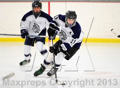 Thumbnail 2 in Fitch/East Lyme/Ledyard @ Shepaug/Litchfield/Nonnewaug photogallery.
