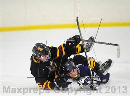 Thumbnail 3 in Fitch/East Lyme/Ledyard @ Shepaug/Litchfield/Nonnewaug photogallery.