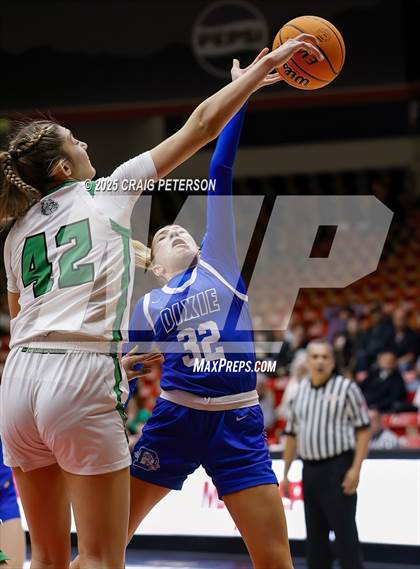 Thumbnail 2 in Dixie vs. Provo (UHSAA 4A Quarterfinal) photogallery.