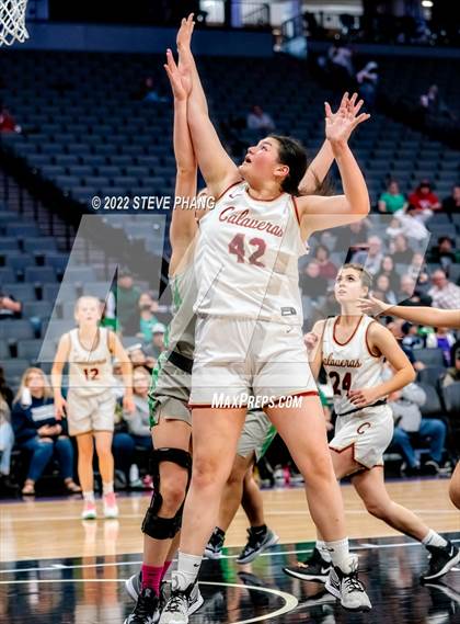 Thumbnail 1 in Calaveras vs. Dixon (CIF SJS D4 Final) photogallery.